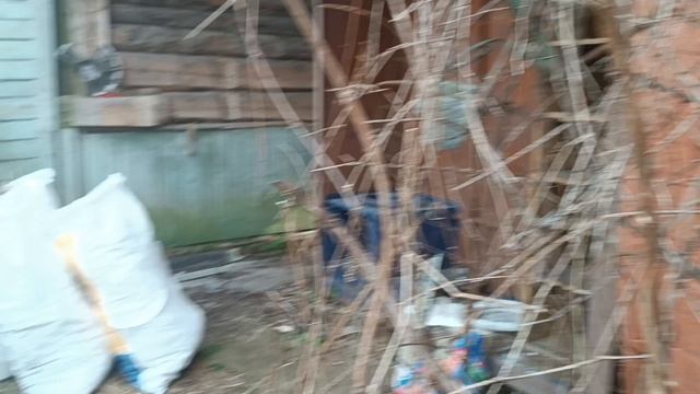 разбираем заброшенный участок и дом. серия 8