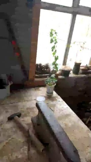 03-05-2026