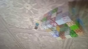 транса по майну 2