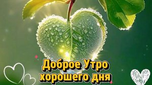 Доброе утро: красивые открытки и пожелания с добром утром | Домохозяйка
