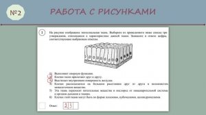ВПР по биологии 8 класс Часть1_№ 2