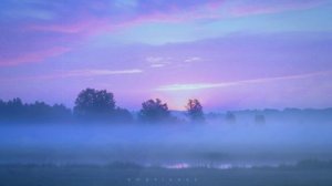 Blue Mist Morning.