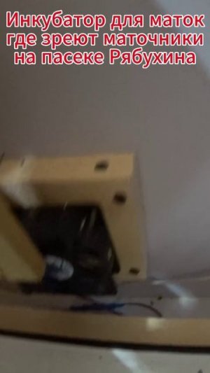 ИНКУБАТОР ДЛЯ ВЫВОДА МАТОК НА ПАСЕКЕ