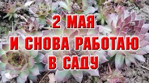 2 мая. И снова работаю в саду