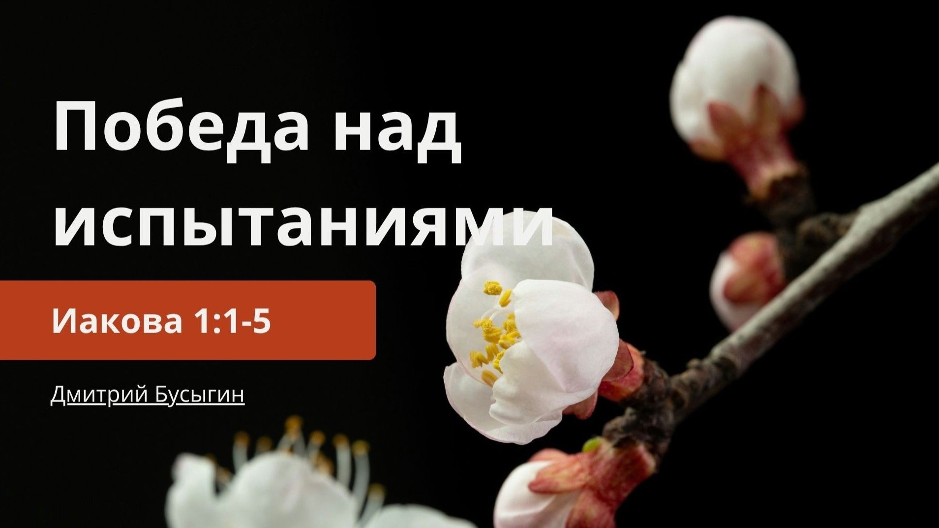 Победа над испытаниями | Иакова 1:1-5 | Дмитрий Бусыгин