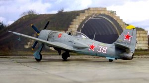 Ави ацыя и грокошки