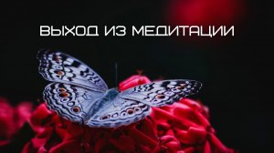 Выход из медитации. Часть 8. Джон Кабат-Зинн
