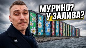 Намыв ВО: новый центр или спальник из студий?