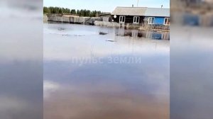 Паводок в Томской области: людей вывозят на тракторах! Сёла уходят под воду! Уровень воды растёт! ЧС