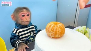 BiBi goes supper market then made a fruit cake for baby monkey Obi