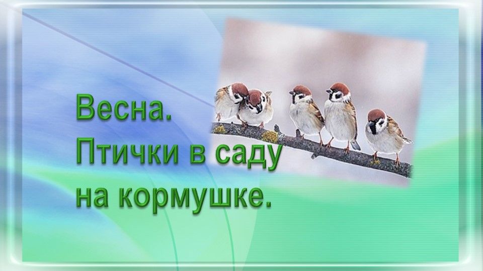 Весна. Птички в саду на кормушке.