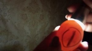 Заложила Полтавскую глинистую. Проверка яйца из коробки на оплод.
