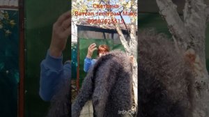 03.05.26.Гольфы,свитера,следки,варежки,перчатки,гетры,платки,косынки,жилеты,кофта.
