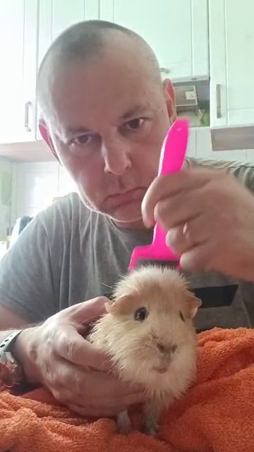 Бориса Джонсона причесывают