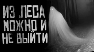 ИЗ ЛЕСА МОЖНО И НЕ ВЫЙТИ... Страшные истории на ночь.
