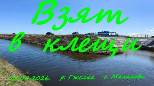 Взят в клещи.25.04.2026. река Гжелка. село Малахово. Рыбалка в Подмосковье.
