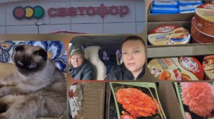 Светофор в Переславль-залесском,праздники на дачу.