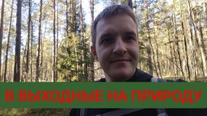 Как провести выходной день? Поездка на побережье Финского залива.
