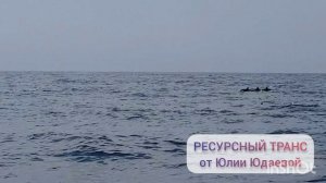 Ресурсный транс под звуки моря и дельфинов