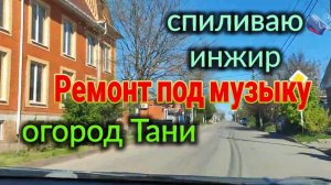 Спиливаю инжир. Ремонты в Краснодарском крае. Огород Тани...