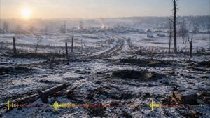 Вероника Тушнова — Бои ушли.