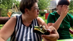 Дожила, хоть дочь накормит🤭/Мукбанг( архив)