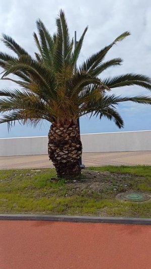 Я ПРИЕХАЛА В СИРИУС