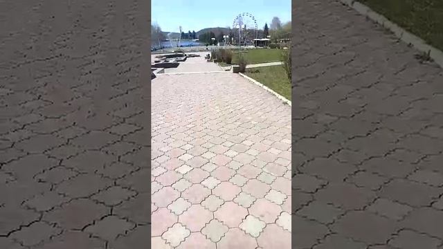 дневной стрим
