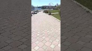 дневной стрим