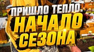 Пришло тепло! Начался пчеловодный сезон
