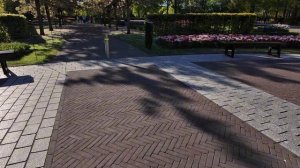 Кёкенхоф весна в цветах прогулка по самому красивому парку Нидерландов ✨