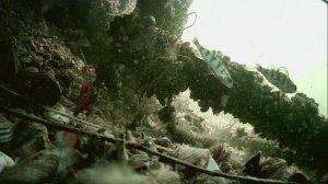 1000016777.mp4Волга гл.2м.03.05.2026г.