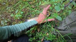 ВСЁ БЫЛО ХОРОШО, НО ТУТ ПРОИЗОШЛО СТРАШНОЕ И РУКИ В КРОВИ! Рыбалка на лесной реке