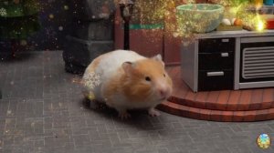 Лучшие приключения хомячка 🐹 побег от злодеев!2
