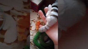 1000001589.mp4