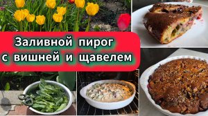 Пирог со щавелем и вишней. Заливной  и сладкий эксперимент. Садово кулинарный выпуск.