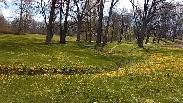 Парк Александрия. Уникальное место для уединения и отдыха.