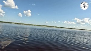 на донки по простому как в  детстве