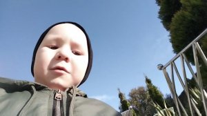 Отдых в Сочи