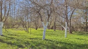 Луга. Деревня Романщино. Первомай. Мир! Труд! Май! Все в сады и огороды, ну и на шашлыки, конечно.