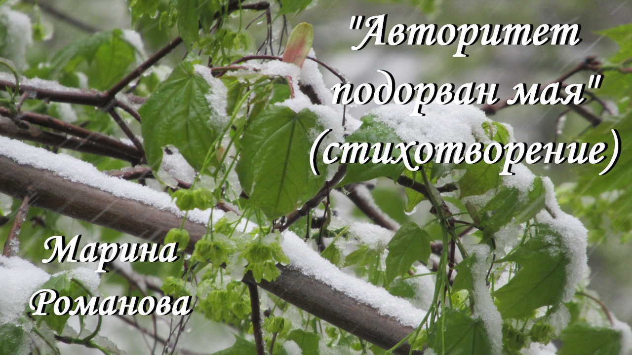 © Марина Романова "АВТОРИТЕТ ПОДОРВАН МАЯ" (стихотворение 11.05.2017)