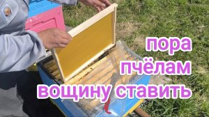 Потеплело! Расширение пчёл вощиной. Пчеловодство Владимирской области!