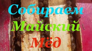Правильная установка магазинов на ульи