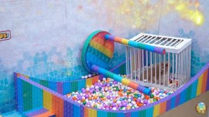 Удивительный лабиринт для хомяков с бассейном и 3