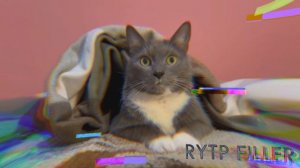 Kotiynet.avi 2 | RYTP FILLER