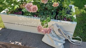 Фестиваль роз в усадьбе Архангелькое