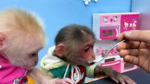 Nanny BiBi helps dad to take care of baby monkey Obi