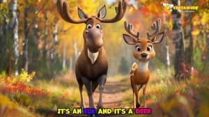 IN THE FOREST.ANIMALS (6-7 ages)