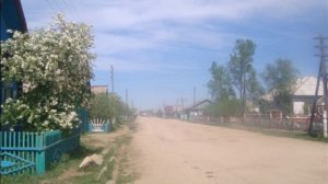 Снится мне деревня
