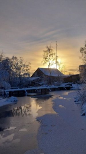 РЫБЫ БОЛЬШЕ, ЧЕМ ВОДЫ!
